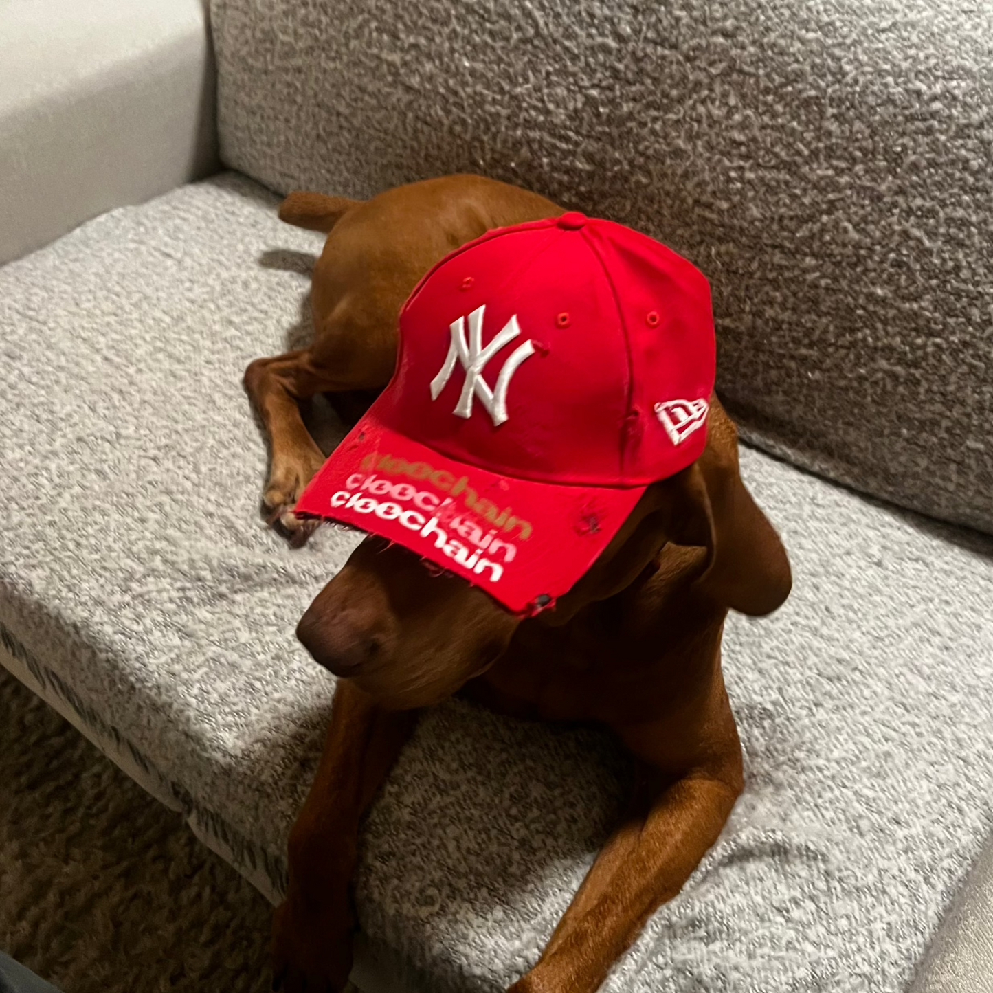 cap red